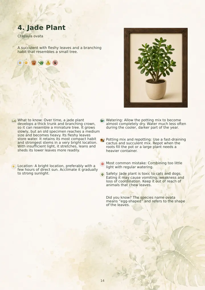 Sample jade plant profile from the guide