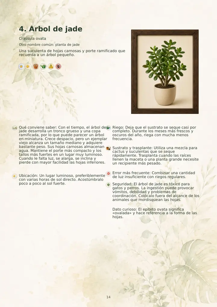 Ficha de ejemplo de la planta de jade
